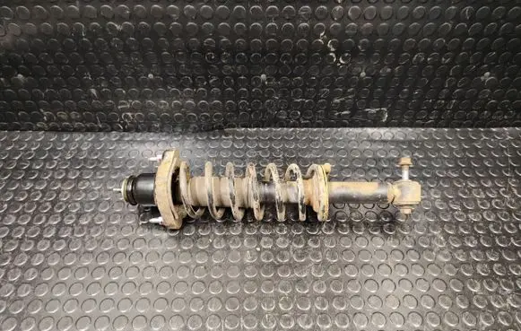 Peugeot 4008 Rear shock absorber with coil spring 4162a245