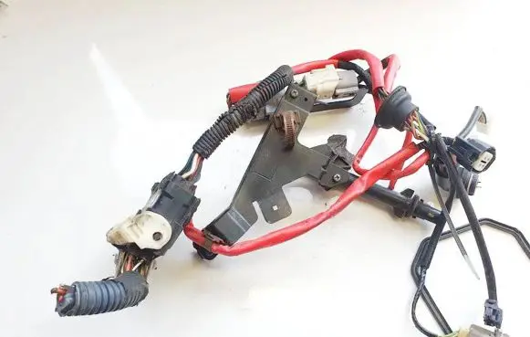 Other wiring loom