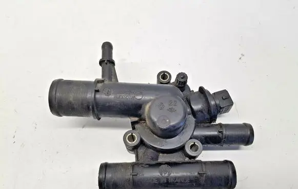Thermostat/thermostat housing