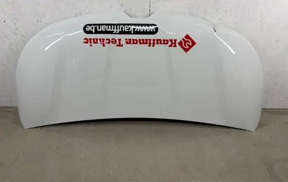Renault Trafic III (X82) Engine bonnet/hood 651224338R