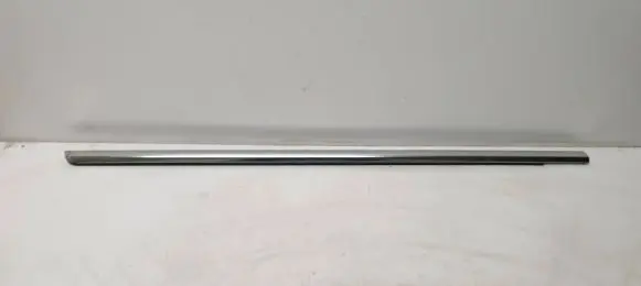 Front door trim (molding)