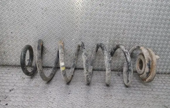 Volkswagen Golf V Rear coil spring