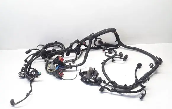 Engine installation wiring loom