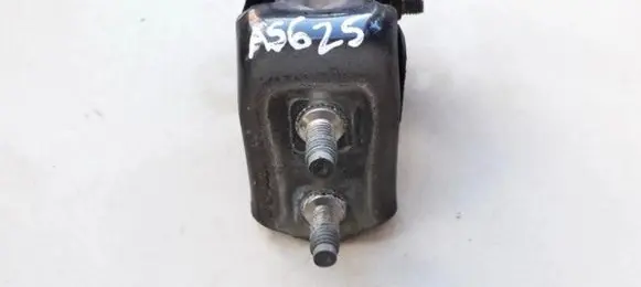 Rear door lower hinge