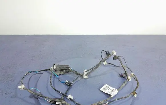Other wiring loom