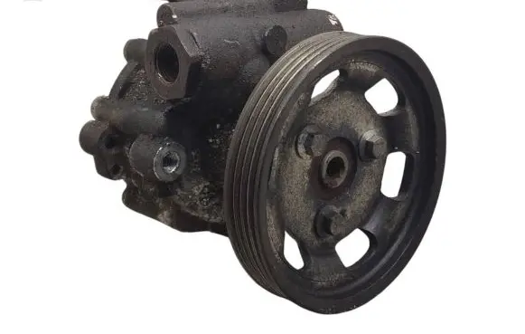 Dacia Sandero Power steering pump 491101451R 7613955614