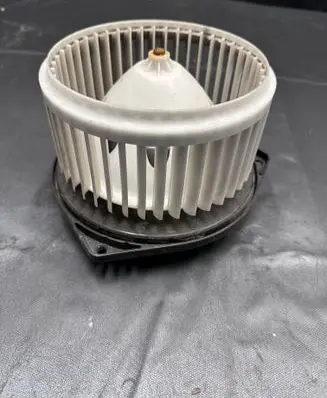 Heater fan/blower