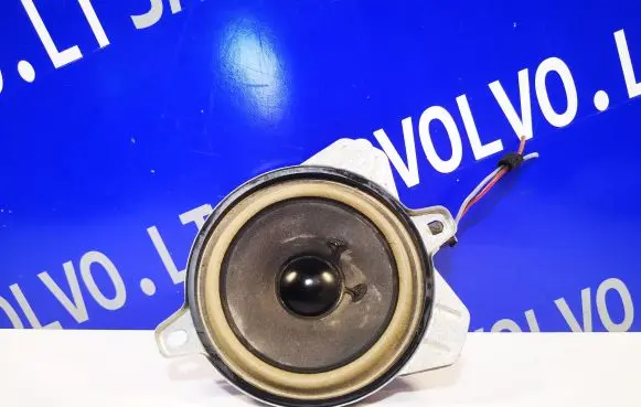 Panel speaker