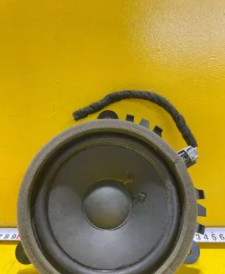 Rear door speaker