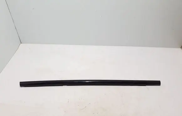 Rear door trim (molding)