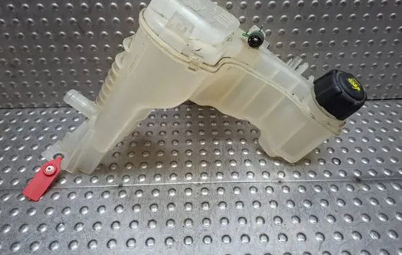 Renault Laguna III Coolant expansion tank/reservoir S26282250 217100001R