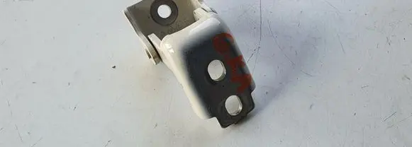 Renault Captur Rear door lower hinge