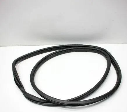 Honda Civic X Rubber seal rear door 