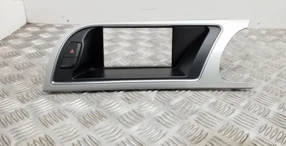 Radio/GPS head unit trim