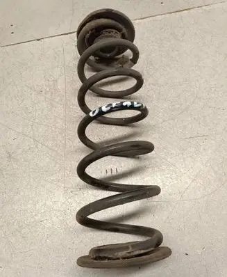 Rear coil spring