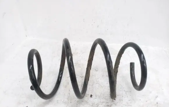 Front coil spring