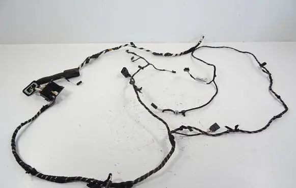 Volkswagen Tiguan Left interior wiring harness 