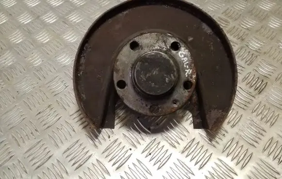 Volkswagen Golf IV Rear wheel hub