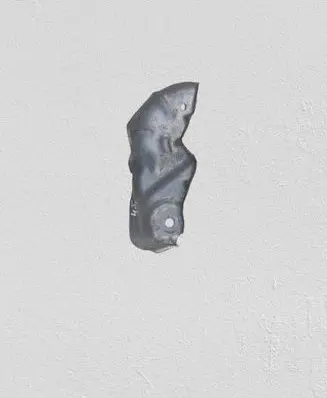 Nissan Qashqai Heat shield in engine bay 7185381R