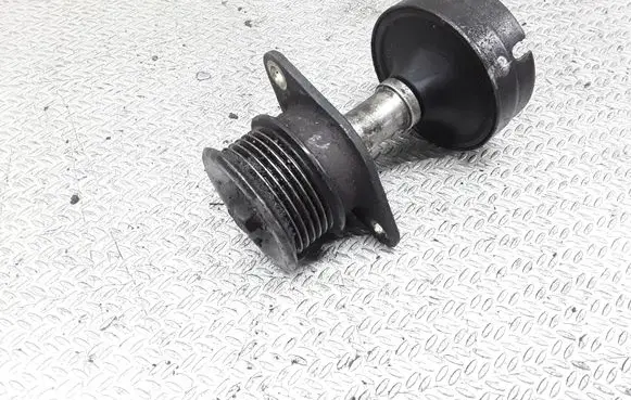 Ford Focus Alternator pulley 