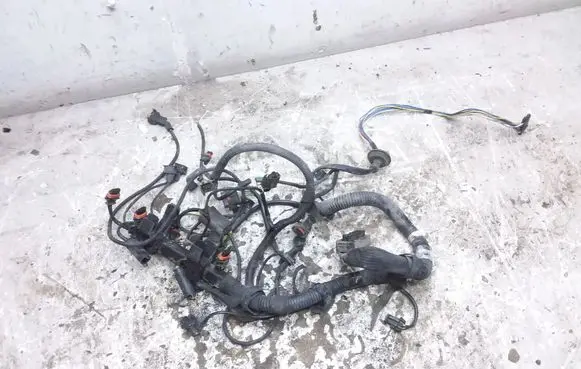 Smart ForTwo I Engine installation wiring loom A1601501533 0280620531