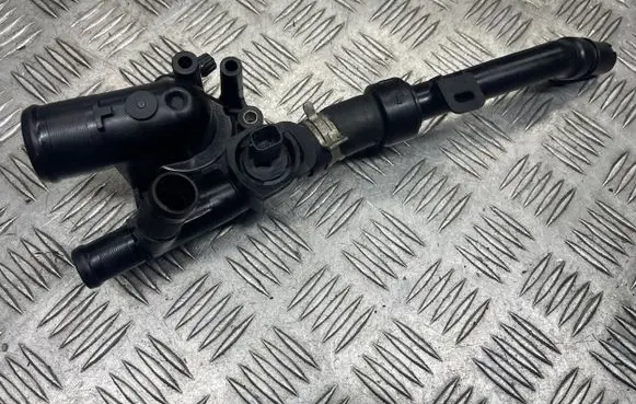 Thermostat/thermostat housing
