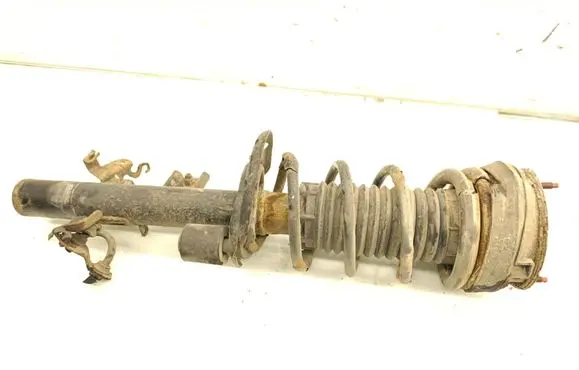 Rear shock absorber/damper
