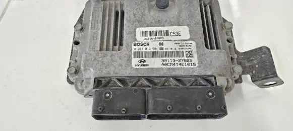 Hyundai Santa Fe Engine control unit/module 3911327825 0281013584