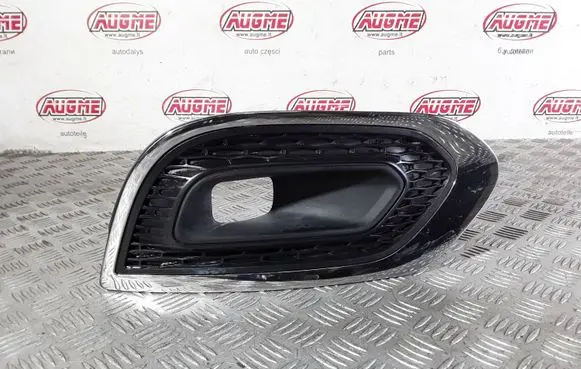 Front fog light trim/grill