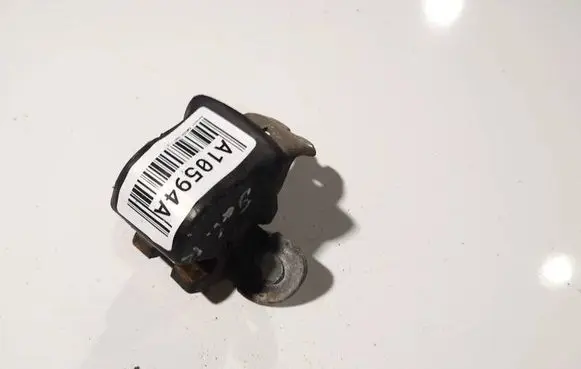 Renault Kangoo I Rear door lower hinge