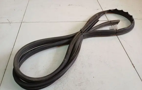 Dacia Sandero Rubber seal front coupe door 