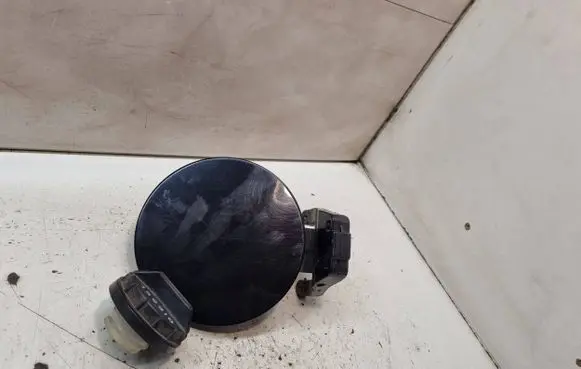 KIA Carens II Fuel tank cap 695101D000