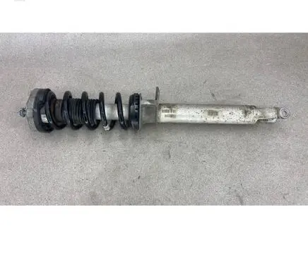 BMW M6 Front shock absorber with coil spring 2284667 31312284667