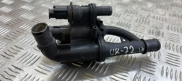 Thermostat/thermostat housing