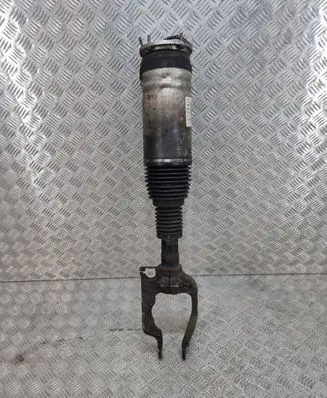 Land Rover Range Rover Sport L494 Air suspension front shock absorber DPLA3C286BG