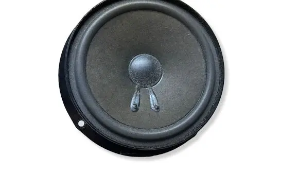 Volkswagen PASSAT B5.5 Rear door speaker 1T0035411AB