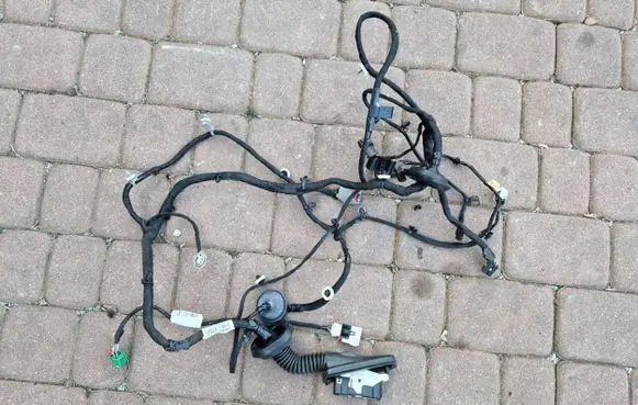 Opel Insignia B Front door wiring loom 39133639