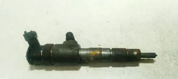 Citroen Berlingo Fuel injector 0445110340 1053102641111