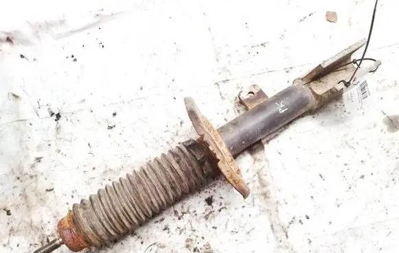 Citroen C4 I Picasso Front shock absorber/damper