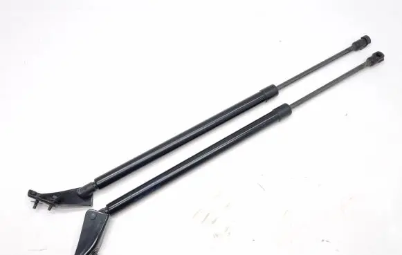 Nissan Rogue Tailgate/trunk strut/damper 904506RR0A 904516RR0A