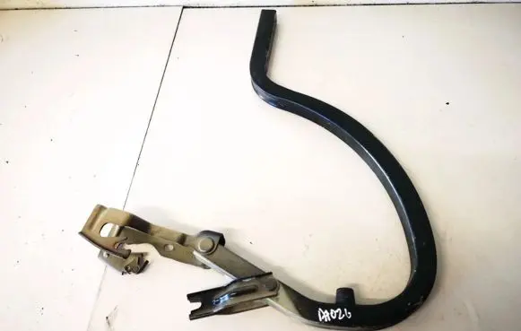 Tailgate/trunk/boot hinge