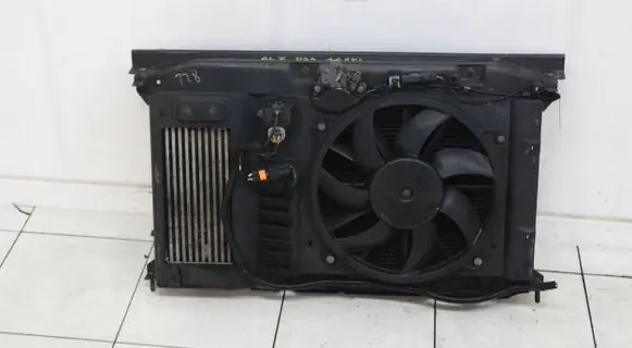 Citroen DS4 Electric radiator cooling fan