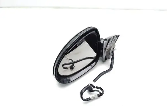 Mercedes-Benz CLS C219 Front door electric wing mirror 454215