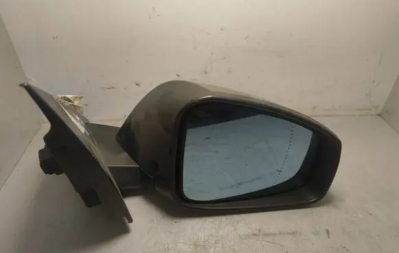 Renault Laguna III Front door electric wing mirror E9026098
