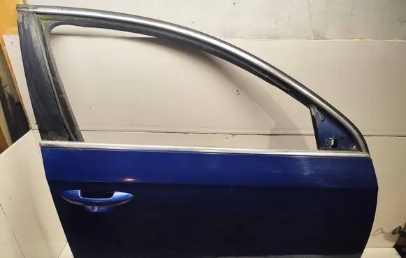 Volkswagen PASSAT B6 Front door