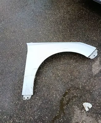 Ford Focus Fender