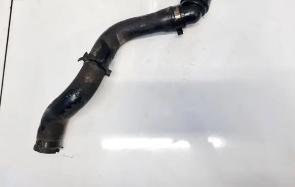 Fiat Doblo Engine coolant pipe/hose 00518108600E