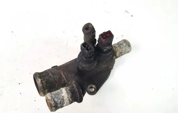 Fiat Marea Engine coolant pipe/hose 7780494