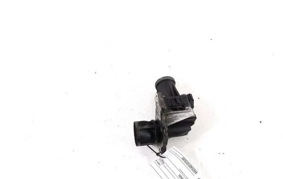 EGR valve
