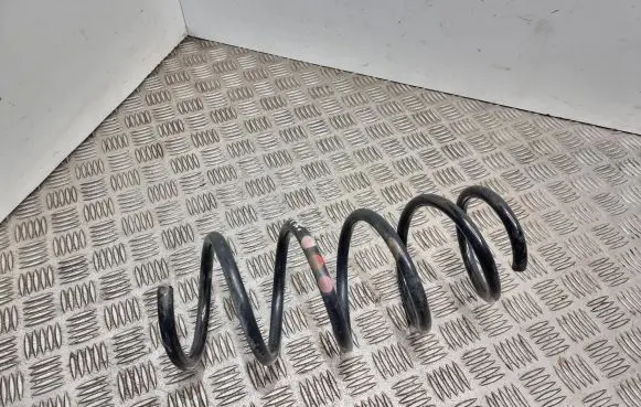 Front coil spring